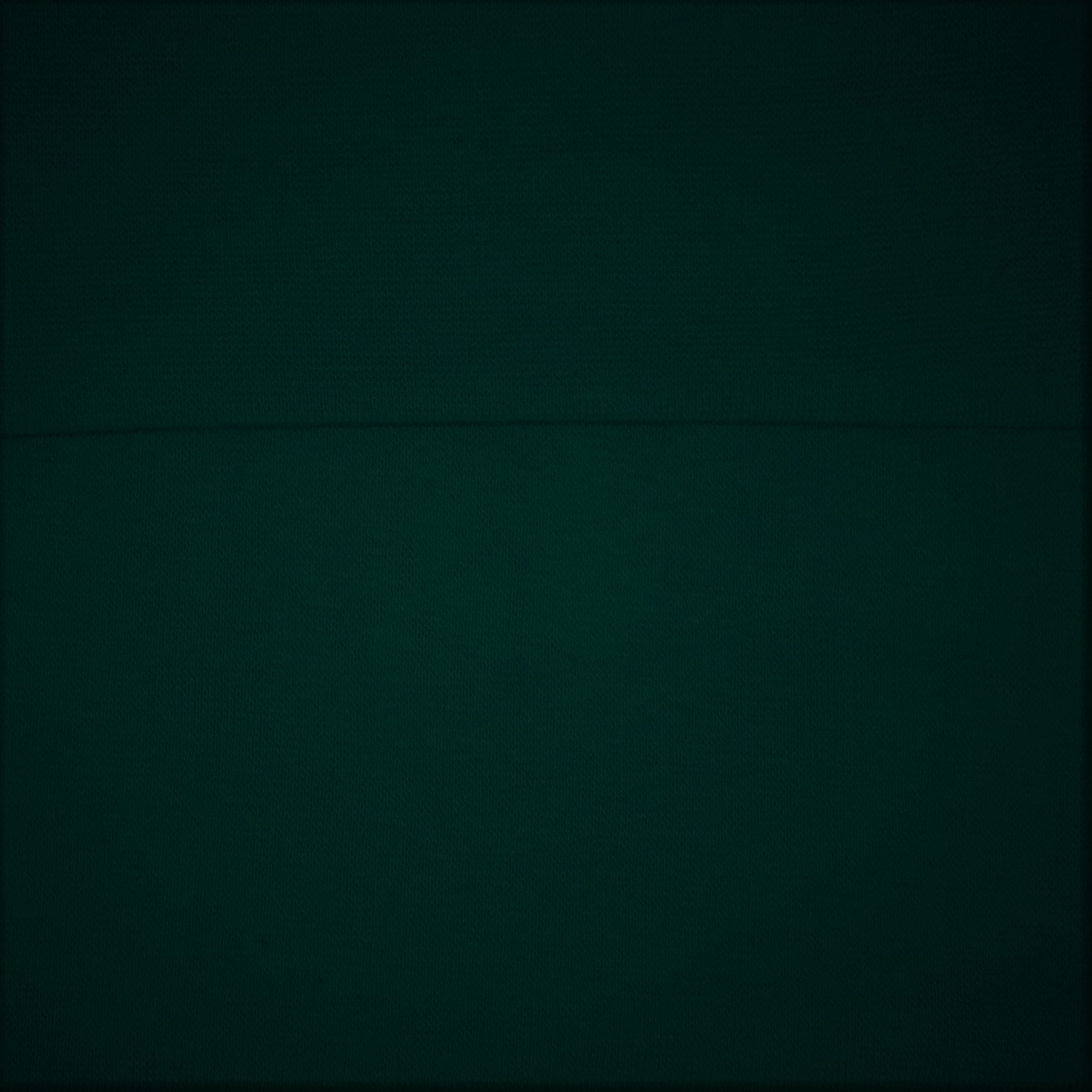 Náplet tm.zelený 2ks 10x35cm